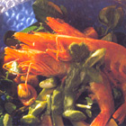 Waterkerssalade met gamba's en kerstomaatjes