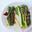 Gestoomde Chinese broccoli met oestersaus