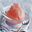 Sorbet van rode grapefruit en campari