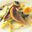 Zonnevis met prei en mosterdvinaigrette van Rick Stein