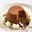 Chocolade bavarois