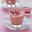 Chocolade bavarois met hazelnoot en frambozensaus
