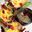 Quiche lorraine