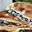 Pizza calzone met andijvie en ansjovis