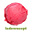 IJs met rood fruit