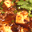 Mapo tofu