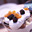 Trifle met abrikozen en bramen