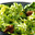 Groene salade met noten