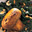 Reuzenchampignons op spinazie