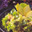 Makreel salade met appel