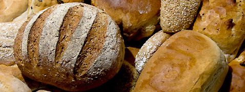 Brood