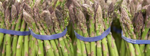 Asperges