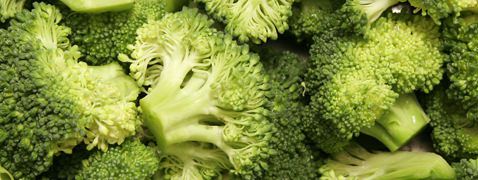 Broccoli