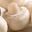 Champignons