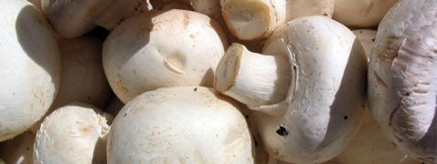 Champignons
