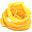 Tagliatelle