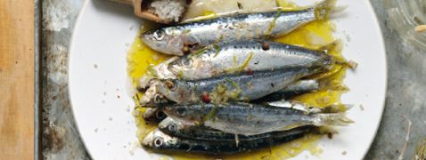 Sardines