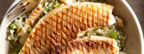 Tilapia