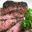 Steak