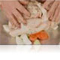 Perfect roast chicken