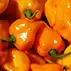 Eten in West-Afrika?
