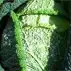 Groene kool