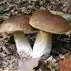 Herfst
