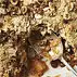 Herfstcrumble