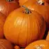 Herfstgroenten
