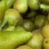 Peren