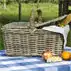 Picknicken