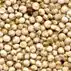 Quinoa