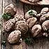 Stoofschotel van ree met zilveruitjes, shiitake en kruidkoek