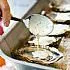 Oesters gegratineerd met vacherin