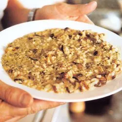Tip: Gordon Ramsay: risotto met paddenstoelen