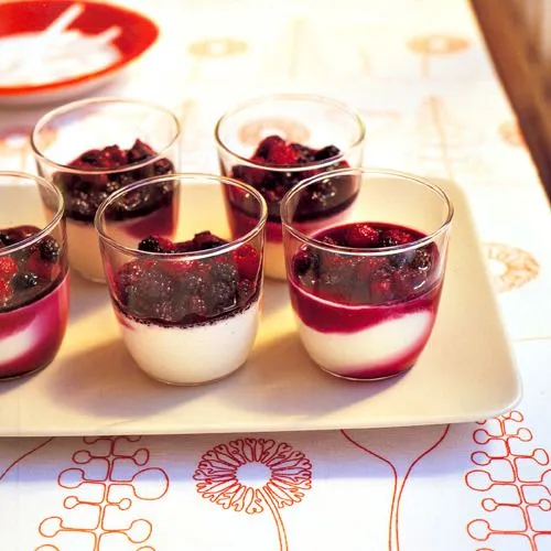 Panna cotta met rood fruit