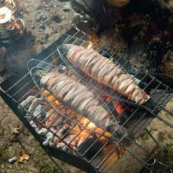 Tip: Forel met spek en tijm