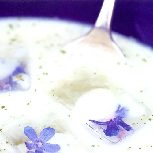 Komkommersoep met knoflook en bieslook