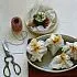 Gevulde courgette met ricotta en verse kruiden