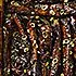 Gordon Ramsay: kleverige spareribs