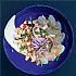 Ceviche van zeebaars met perzik