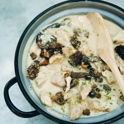Tip: Kalfsragout met morilles (blanquette de veau)