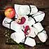 Wraps met bietjes, appel en geitenkaas