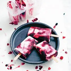 Tip: Blauwebessen yoghurtijslolly’s