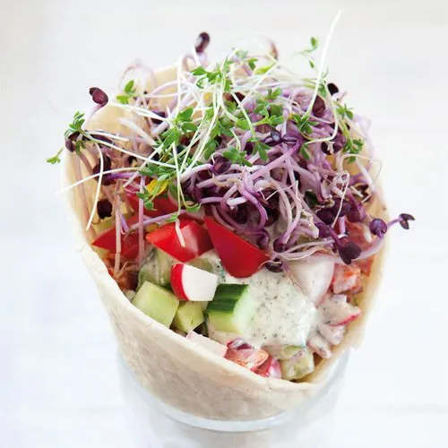 Spring wrap