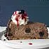 Schwarzwalderkirsch cheesecake