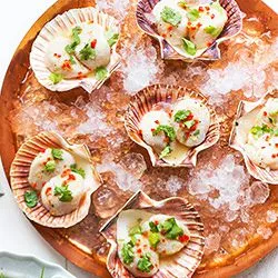 Tip: Ceviche van coquilles