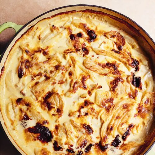 Nigella Lawson: venkelgratin