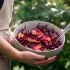 Ingelegde rodekoolsalade met sojadressing