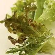 Slamandjes met couscous-garnalensalade